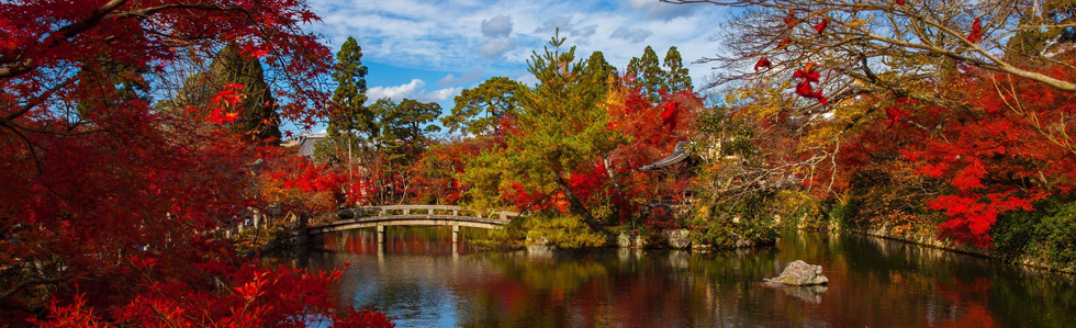 KyotoPixabay6 980x300.jpg